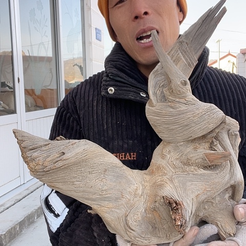 【闪购商品】柏木（崖柏）11