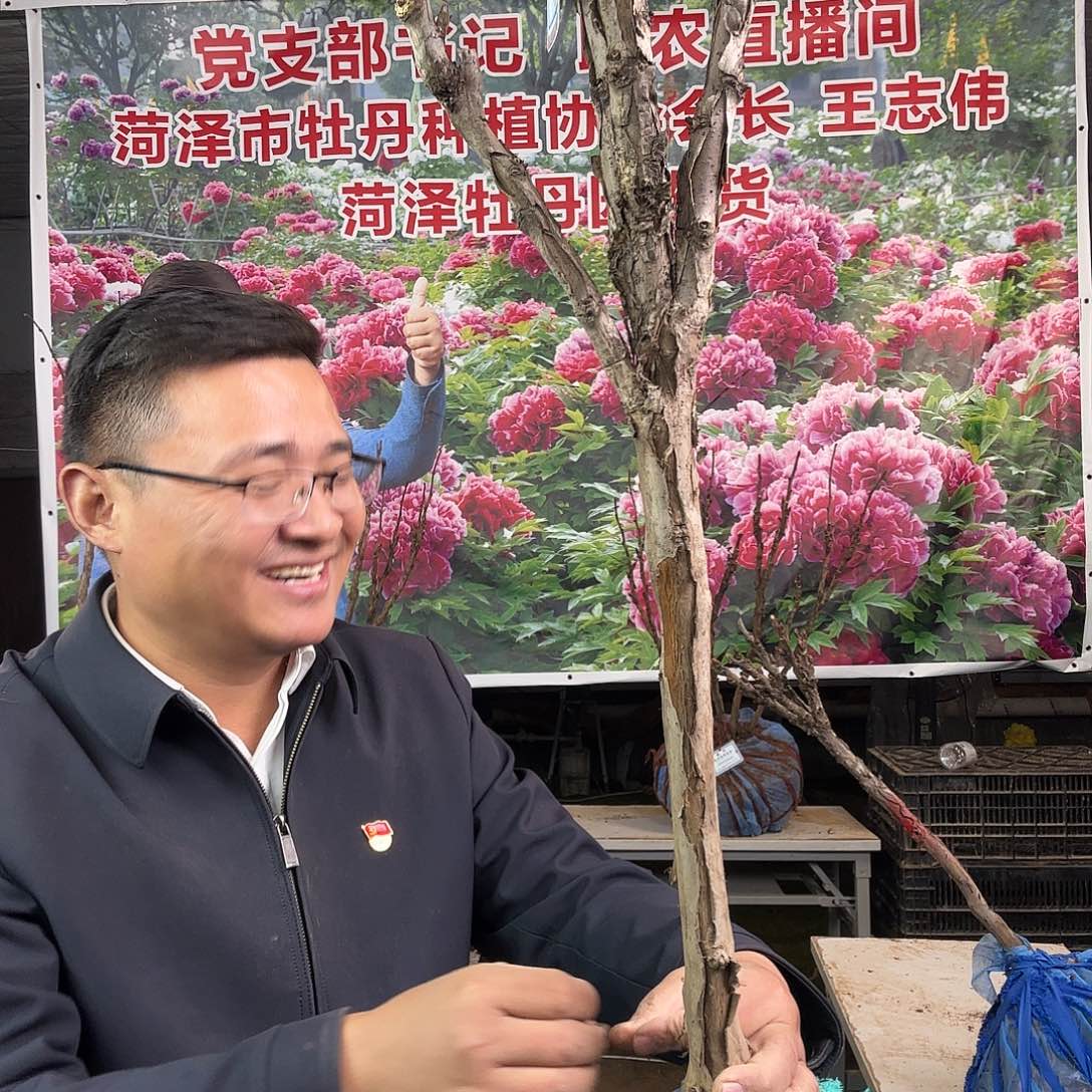 未***好完全开放岛锦345元