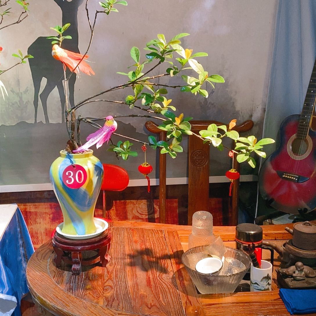 木精品海岛龙船花