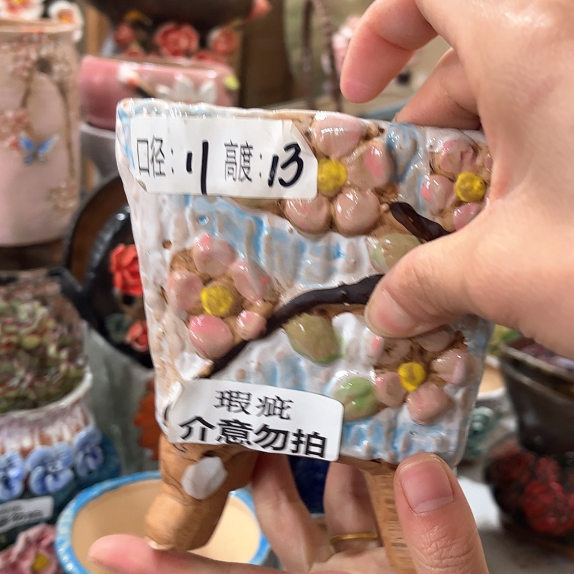 【闪购商品】红陶福利