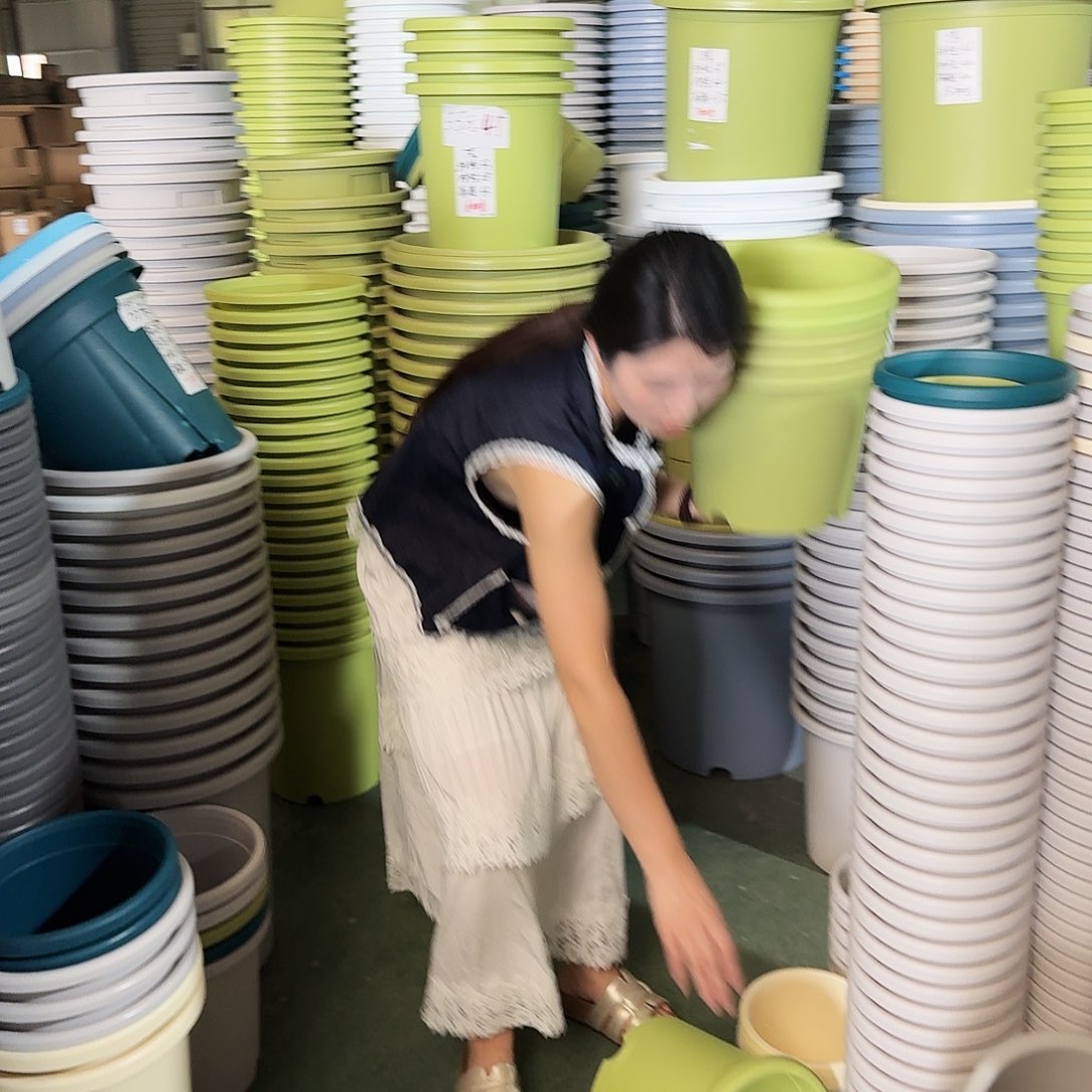 微瑕5#无拖果绿6个