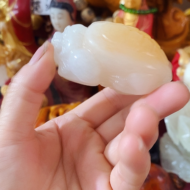 石材我是一只小小鸟的人