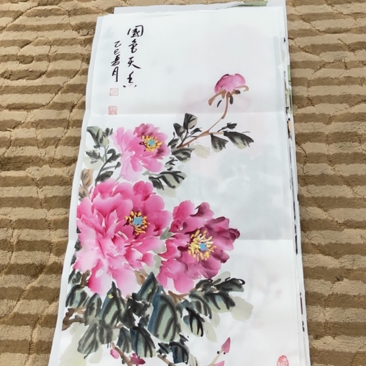 国画花鸟等多种鸟类和鸟类