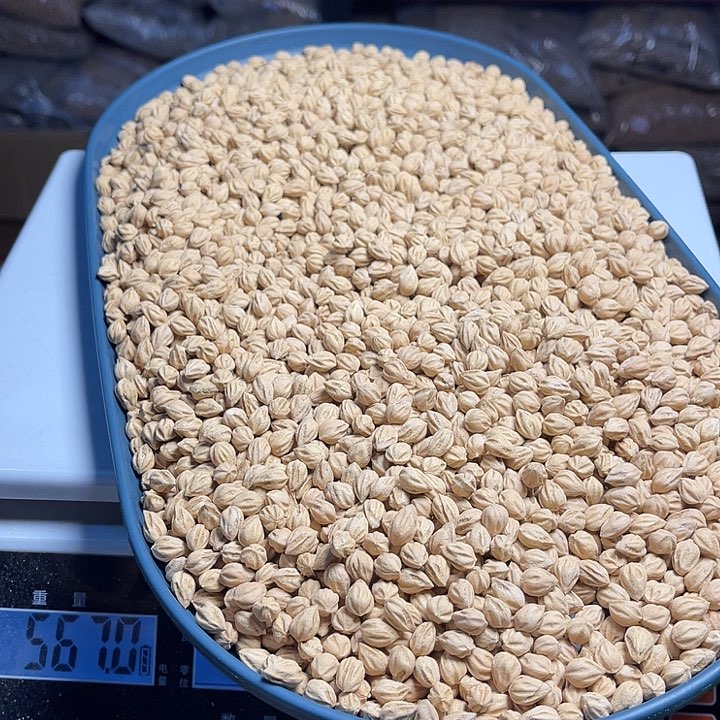 北***Q柏香籽/百香籽吊坠566克IB038