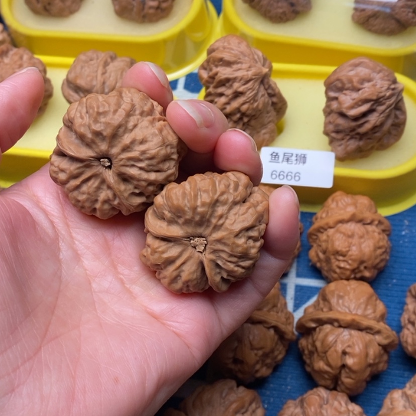 【闪购商品】手串/手链核桃边35龟背