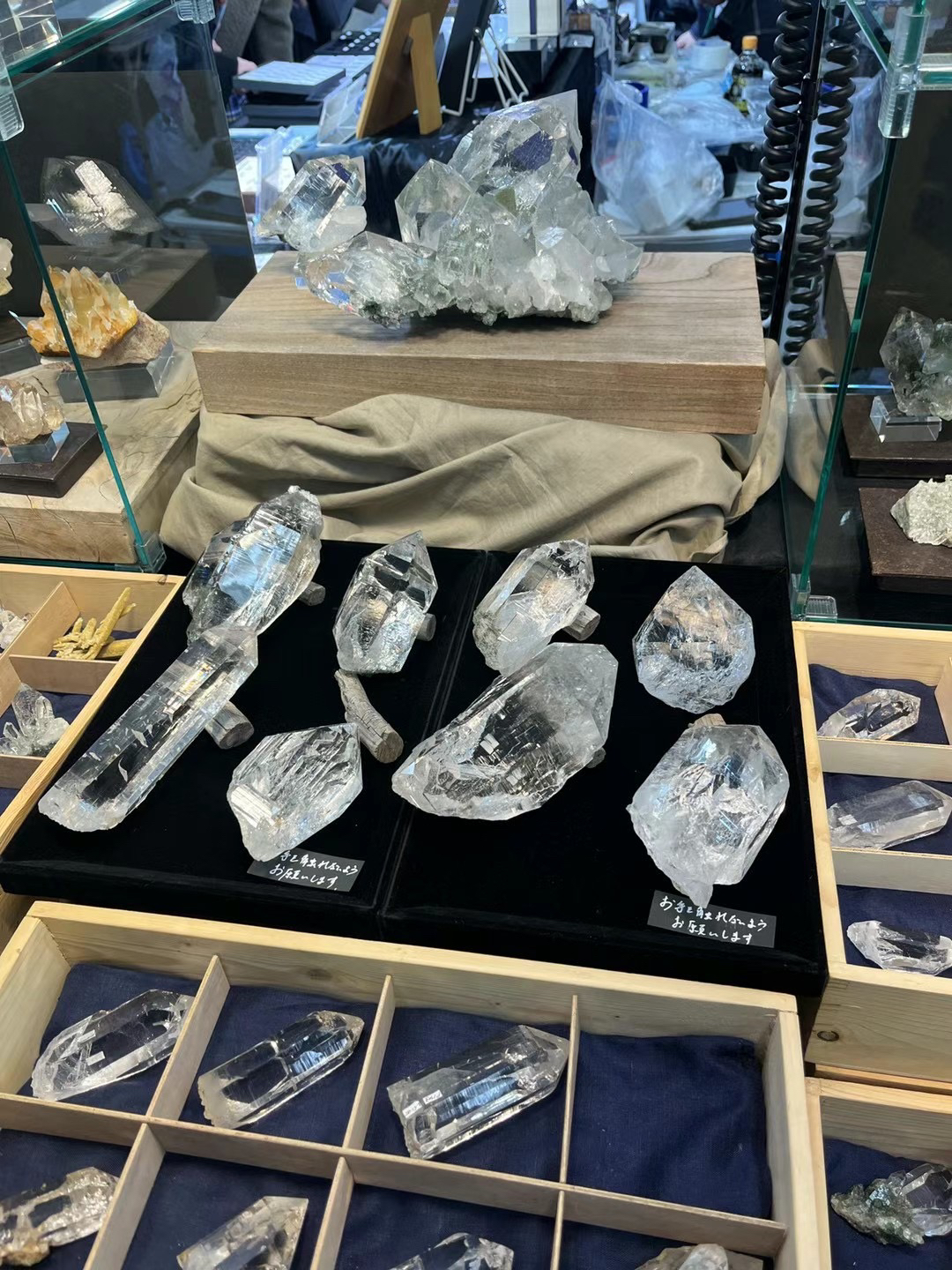 八月家亮晶晶的小石头请拍这里哦～