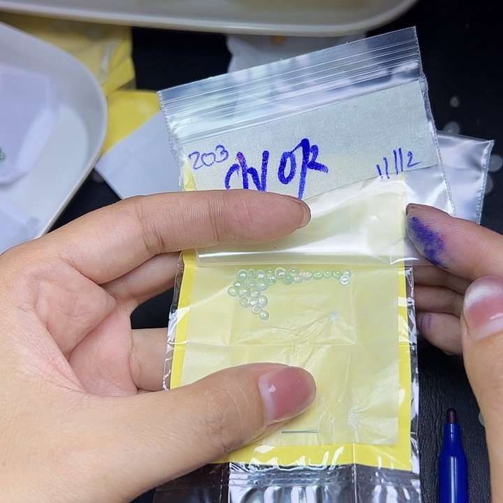 未镶嵌定制翡翠小*不