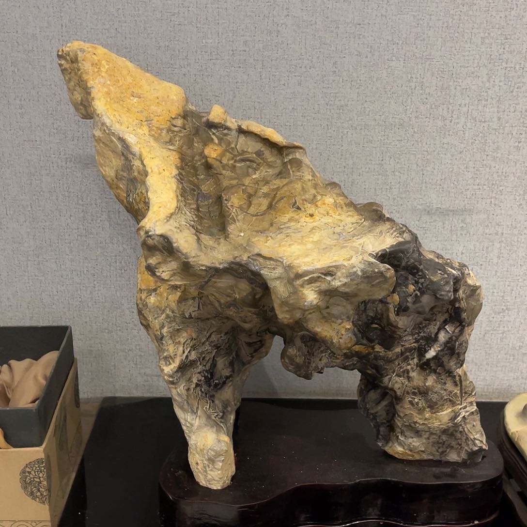 紫砂我也不知道自己为什么想靳*云