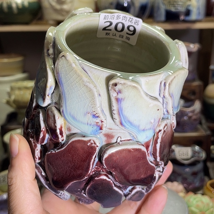 狼盆内口径7高度12