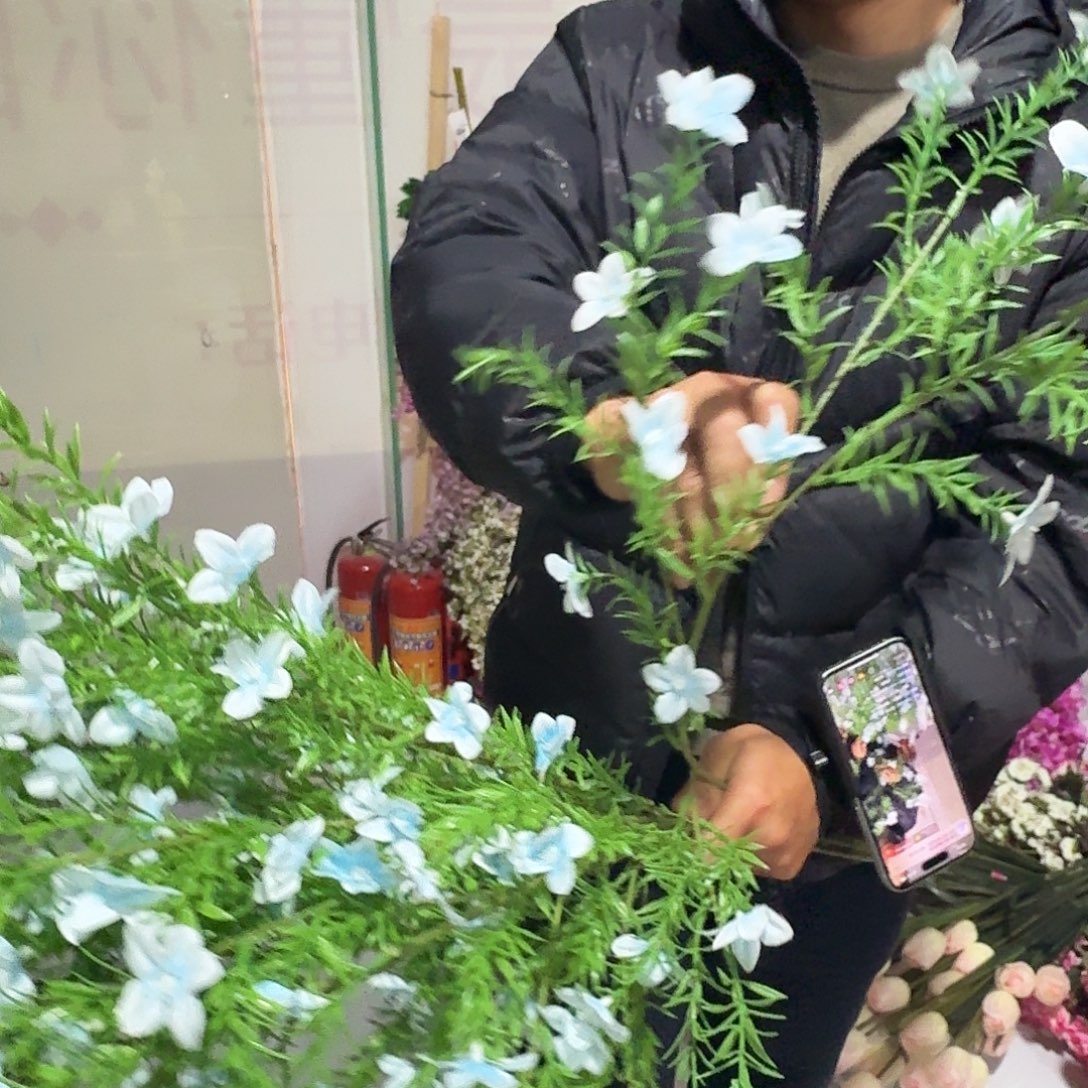 211号浅蓝色雏菊6支