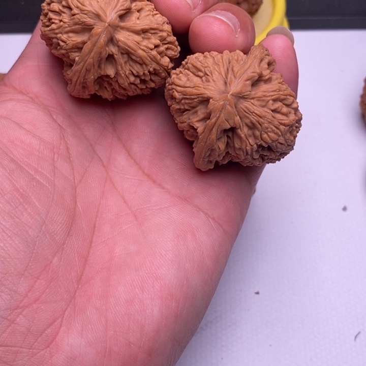 手串/手链核桃天残角南疆狮子头40尺寸