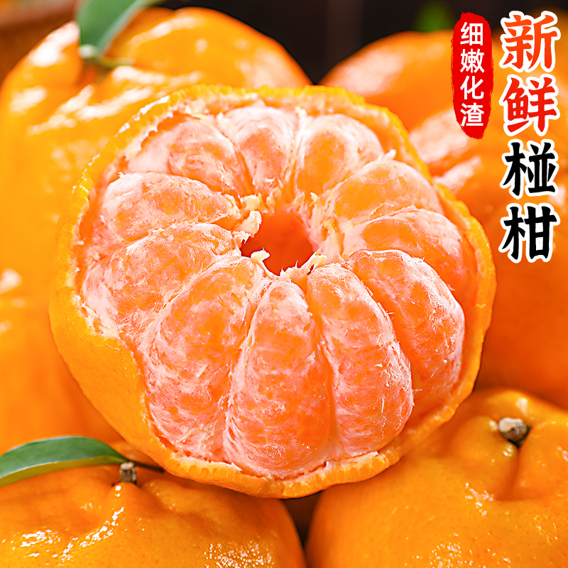 正宗椪柑橘高山橘子新鲜水果应当季整箱包邮云南砂糖蜜橘桔子