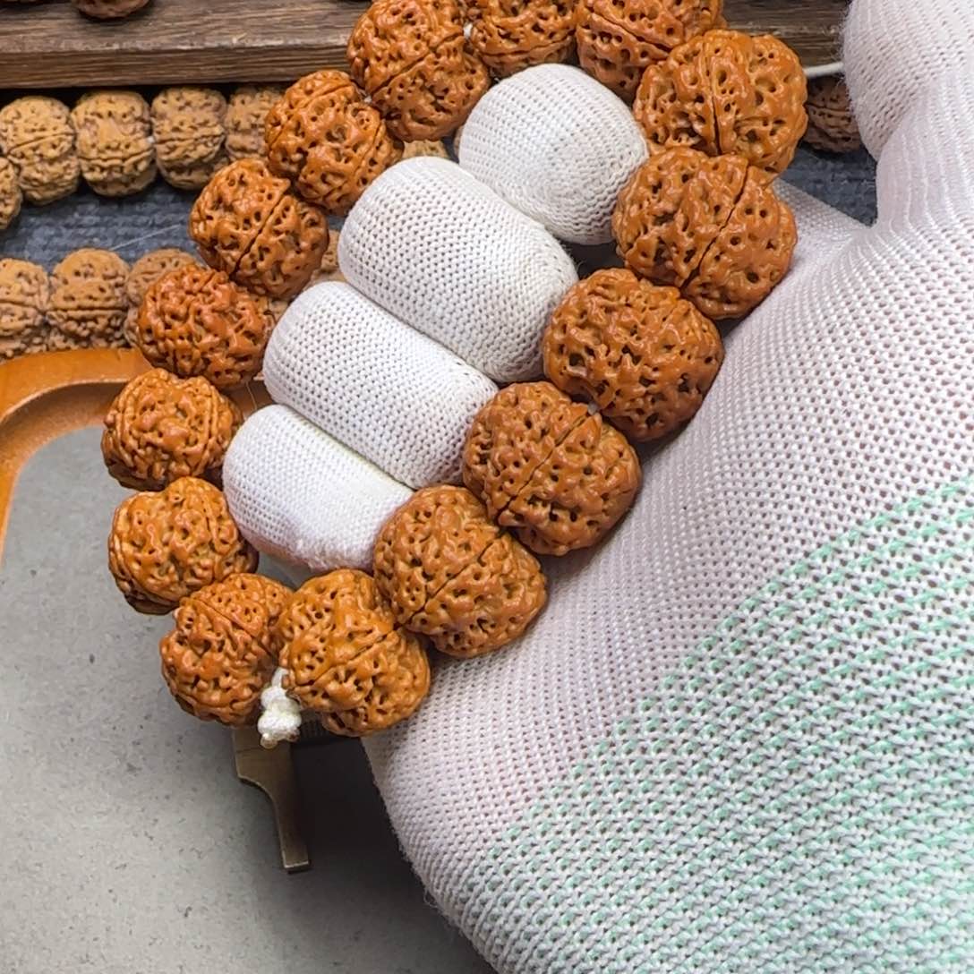 菩提金刚菩提23满肉梅花