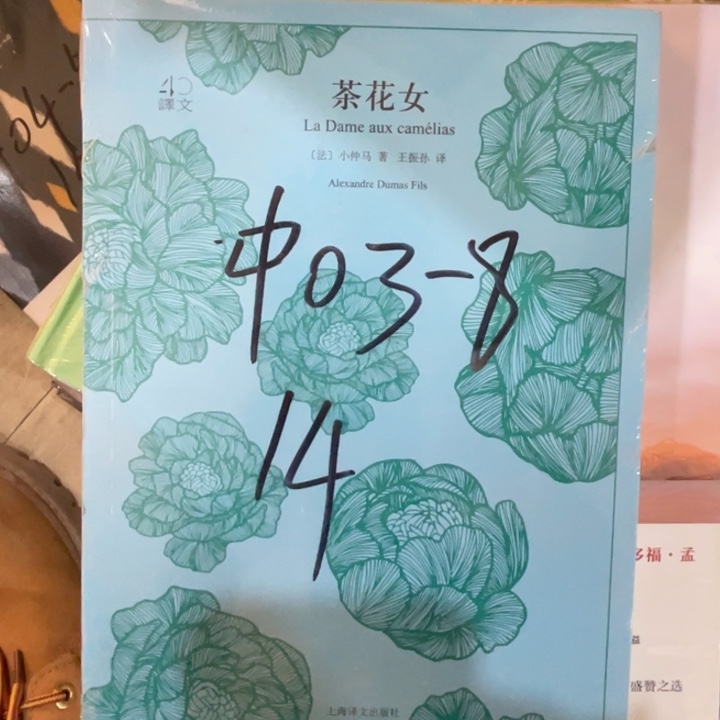 茶花女正版塑封书籍