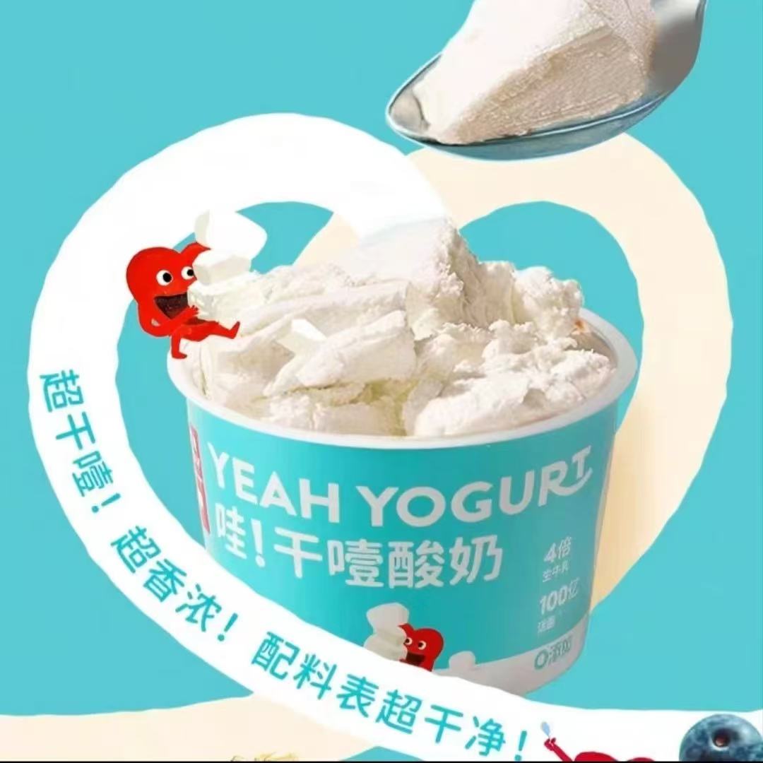 短保28天【26.1.14到期】乐纯希腊干噎酸奶DIY纯厚固体酸奶100g*6杯