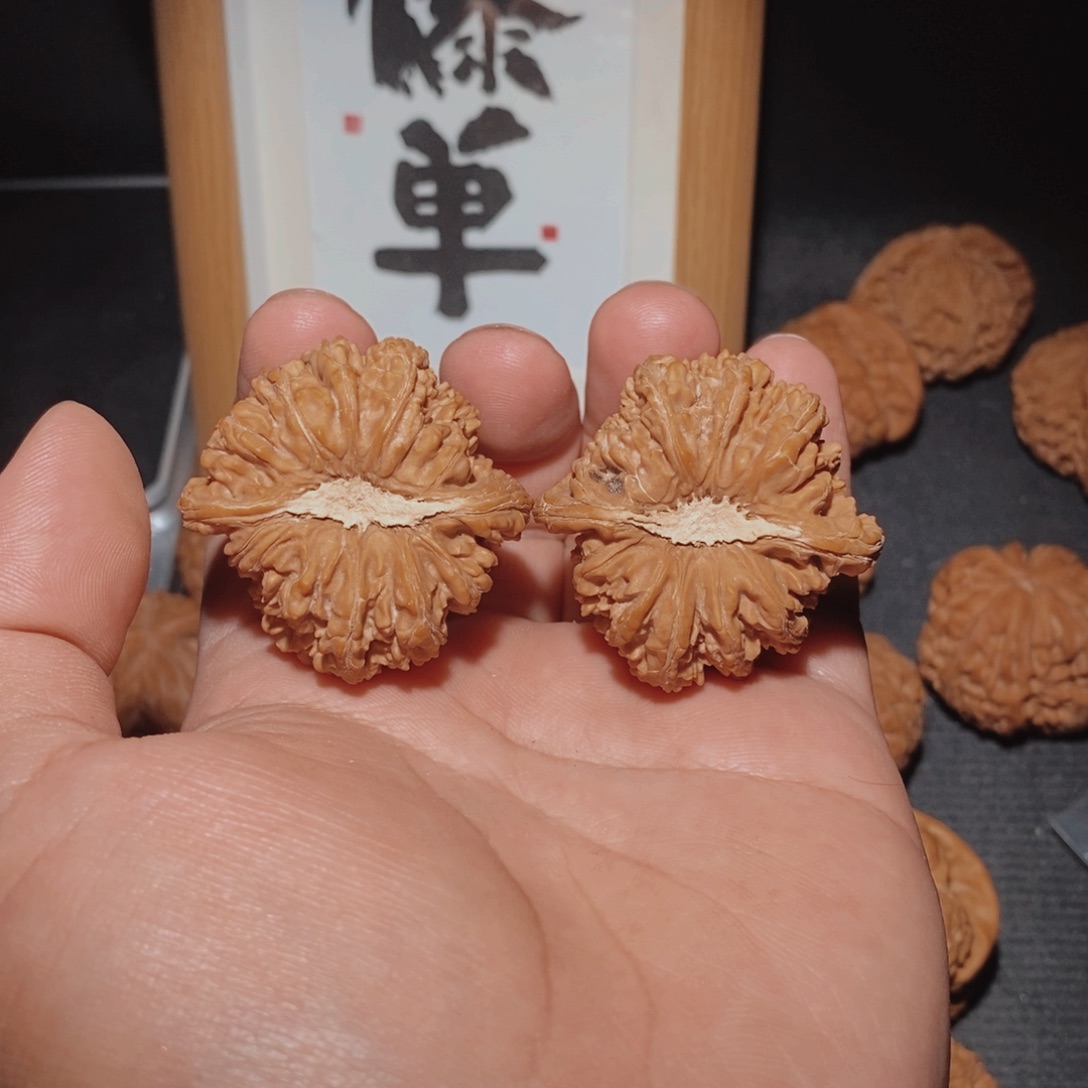 把件文玩核桃40石膏底密纹