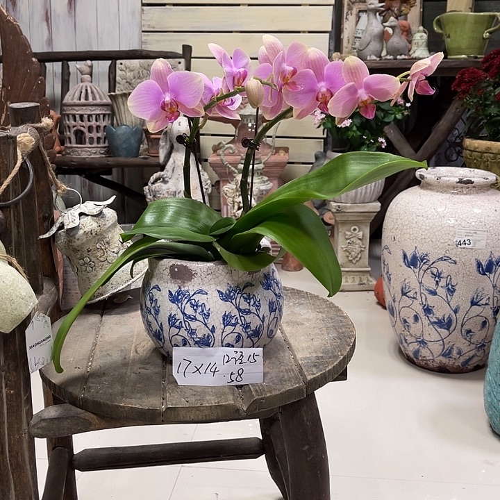 青花圆罐111111111