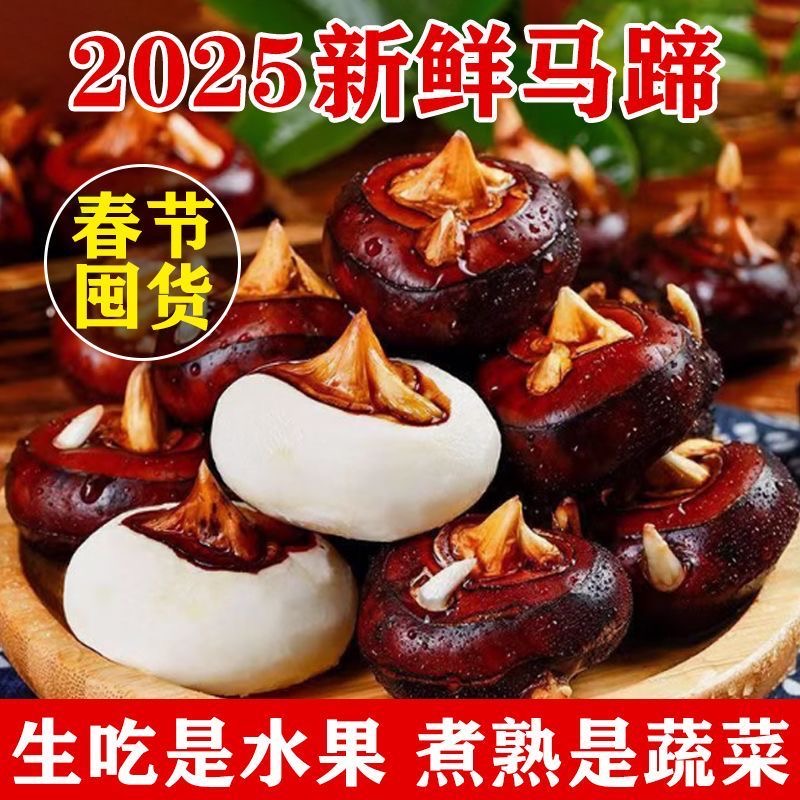 【新鲜马蹄】拍3斤送2斤到手五斤现挖现发马蹄荸荠地梨应季果蔬z1