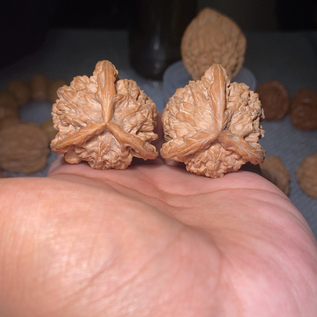 吊坠桃核盘山三棱仔