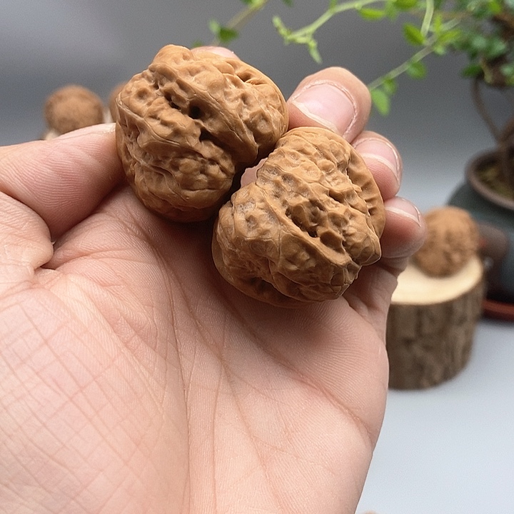 36尺蛤蟆头有腿有眼