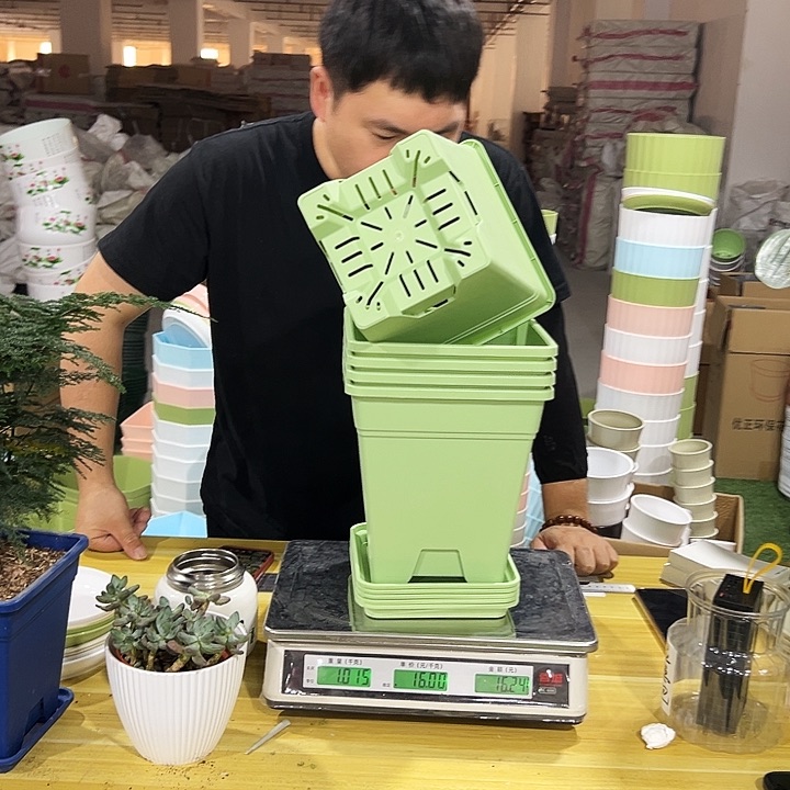 方盆口20高22果绿色5个带托正品