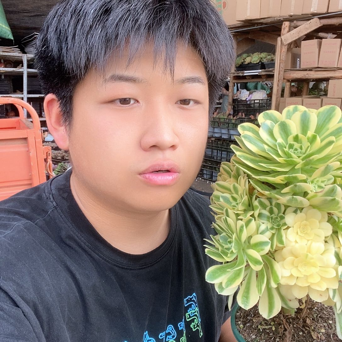 迈巴赫超锦手捧特价