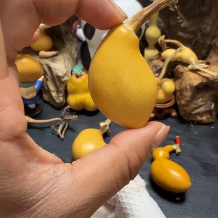 神***866……………………………………