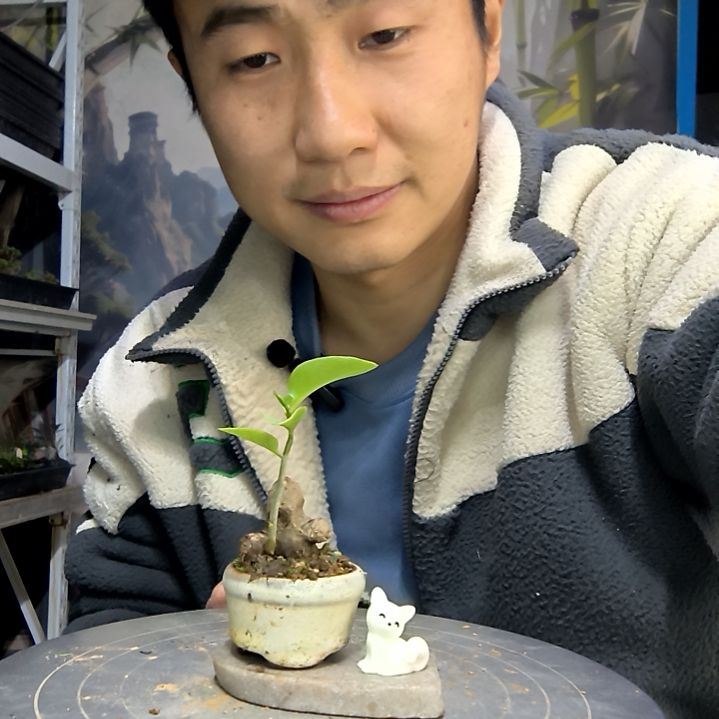 坏*惯中青园艺一物一拍花273