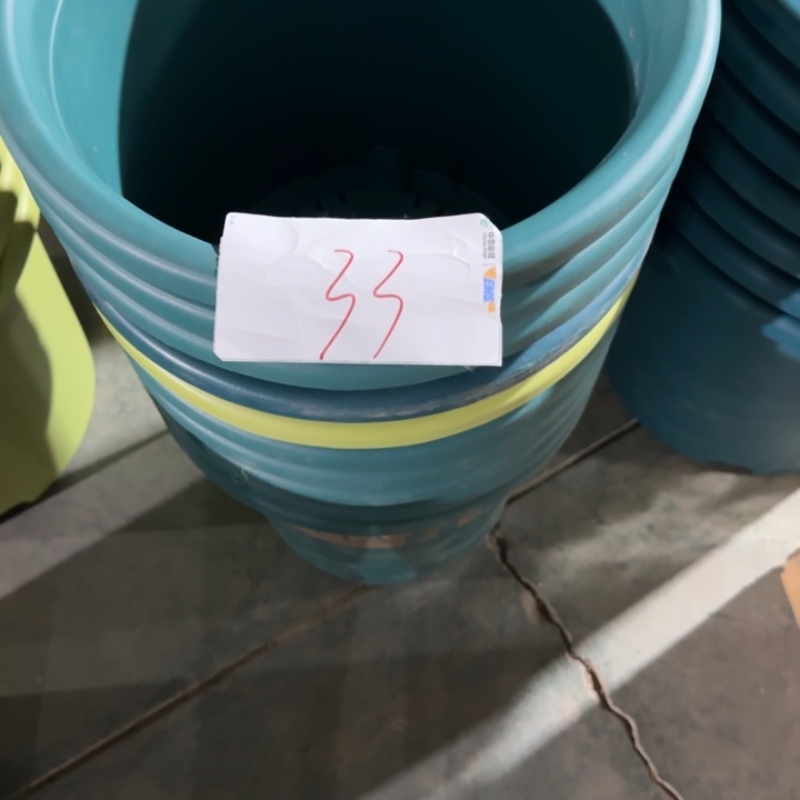 编号是33号的33号的花盆