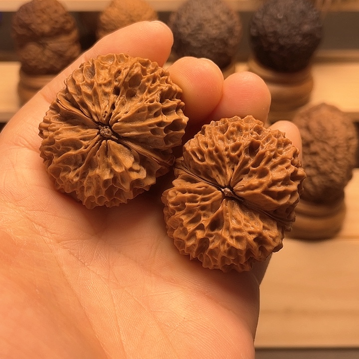 文玩核桃把件红珊瑚