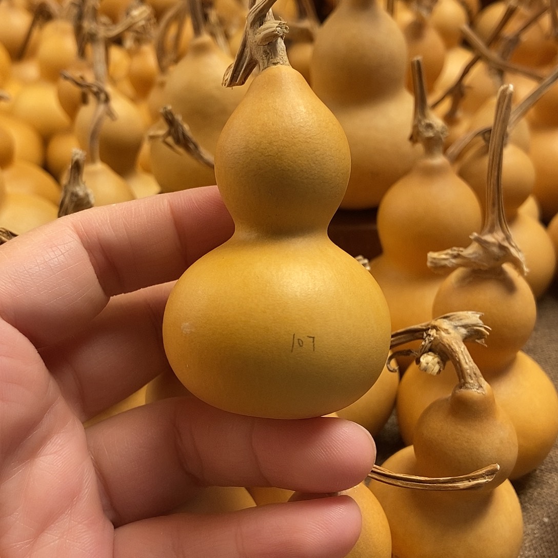 文玩葫芦 完美主义者 慎拍107