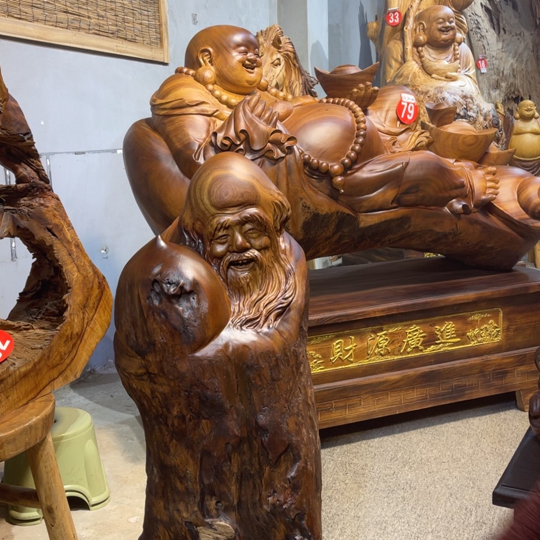 香榧木香樟树香樟树