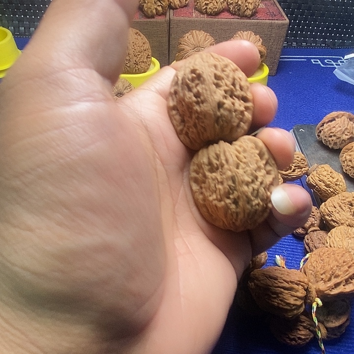 34尺高袍老树小南疆