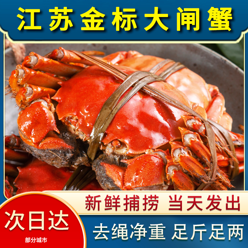 【活蟹现发】江苏精品大闸蟹全公蟹4.5-4.2两8/10只