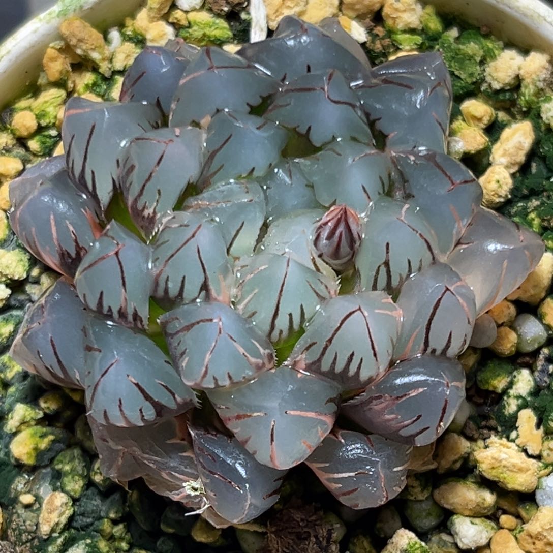 恭喜发财大吉大利0209