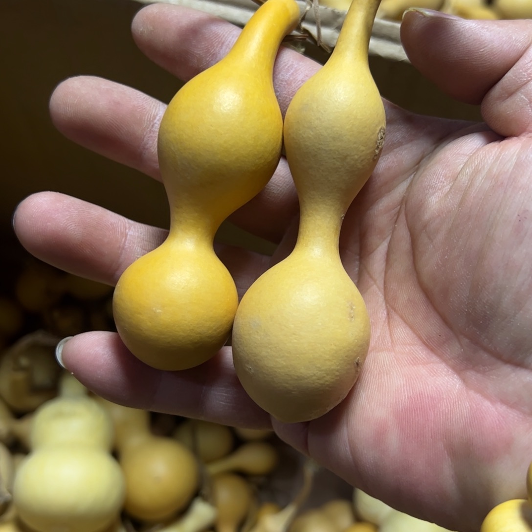 婉***妙大叶紫檀（黑酸枝木类）