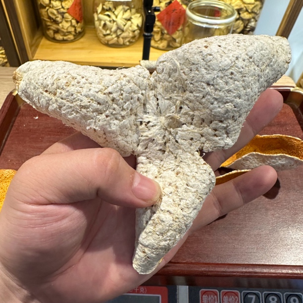 【庄口级大龙鳞】2024年南坦巨大无比超级大红皮