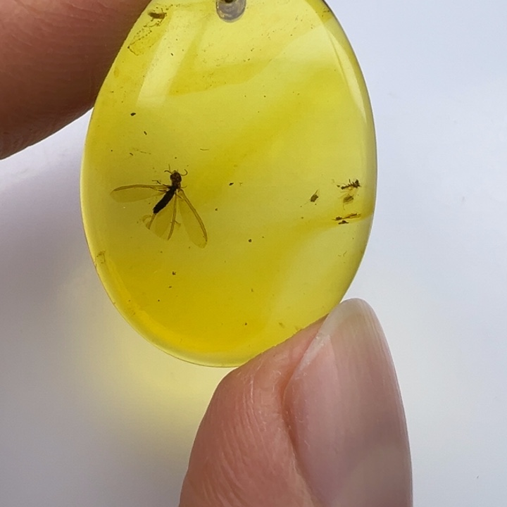 未镶嵌琥珀裸石琥珀虫珀