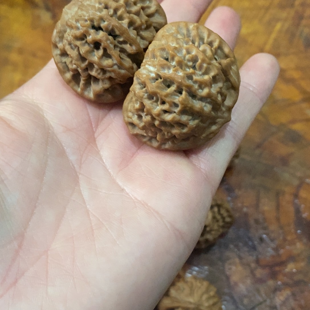 秦岭野生核桃秦闷