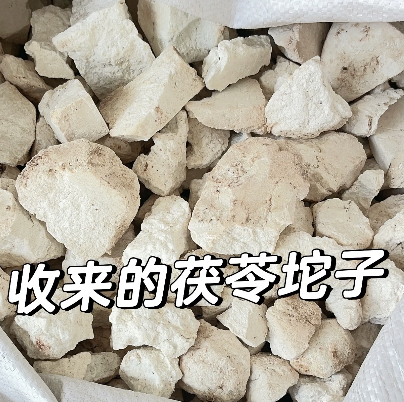 云南农家茯苓片 生切生晒
