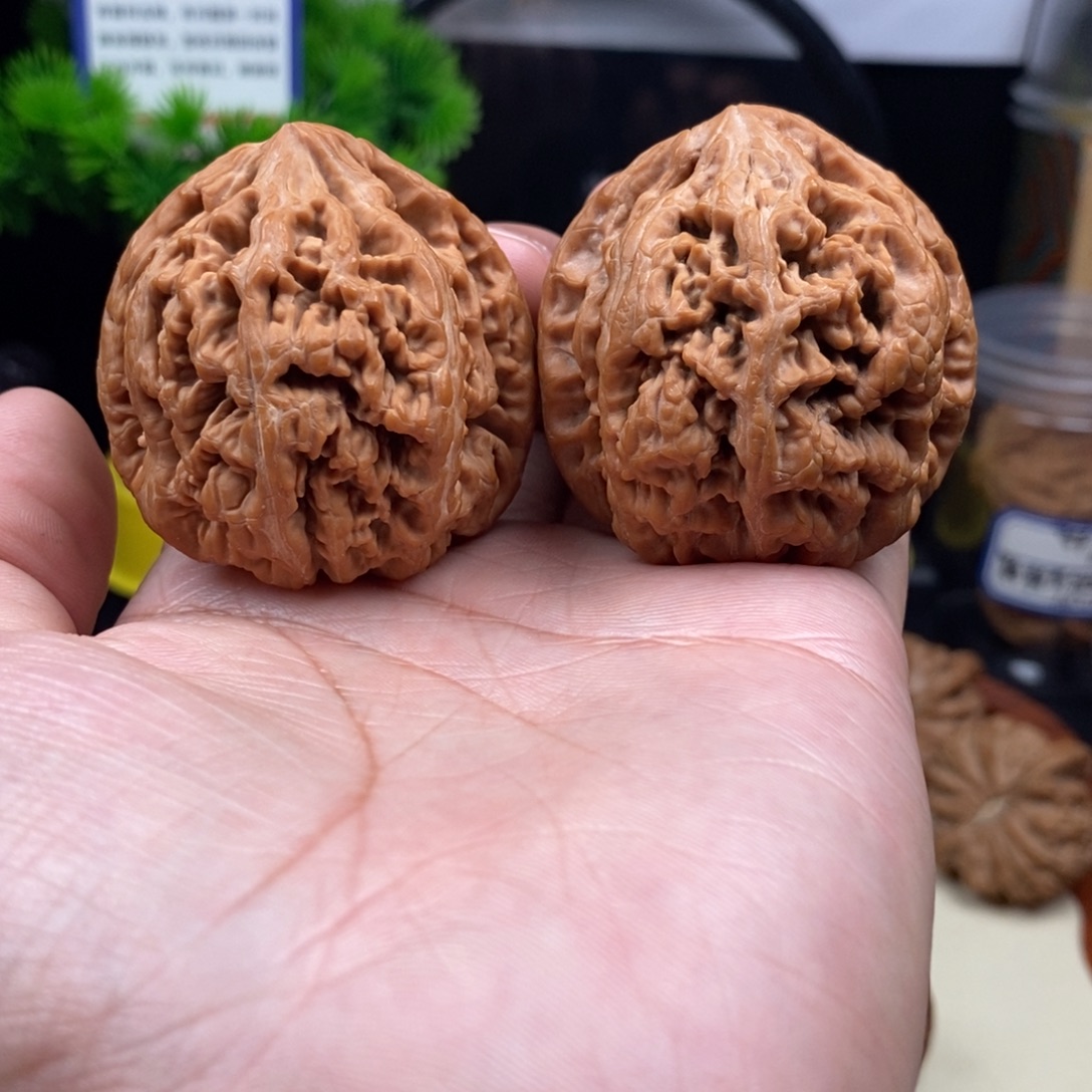 文玩核桃把件大粗筋45.5