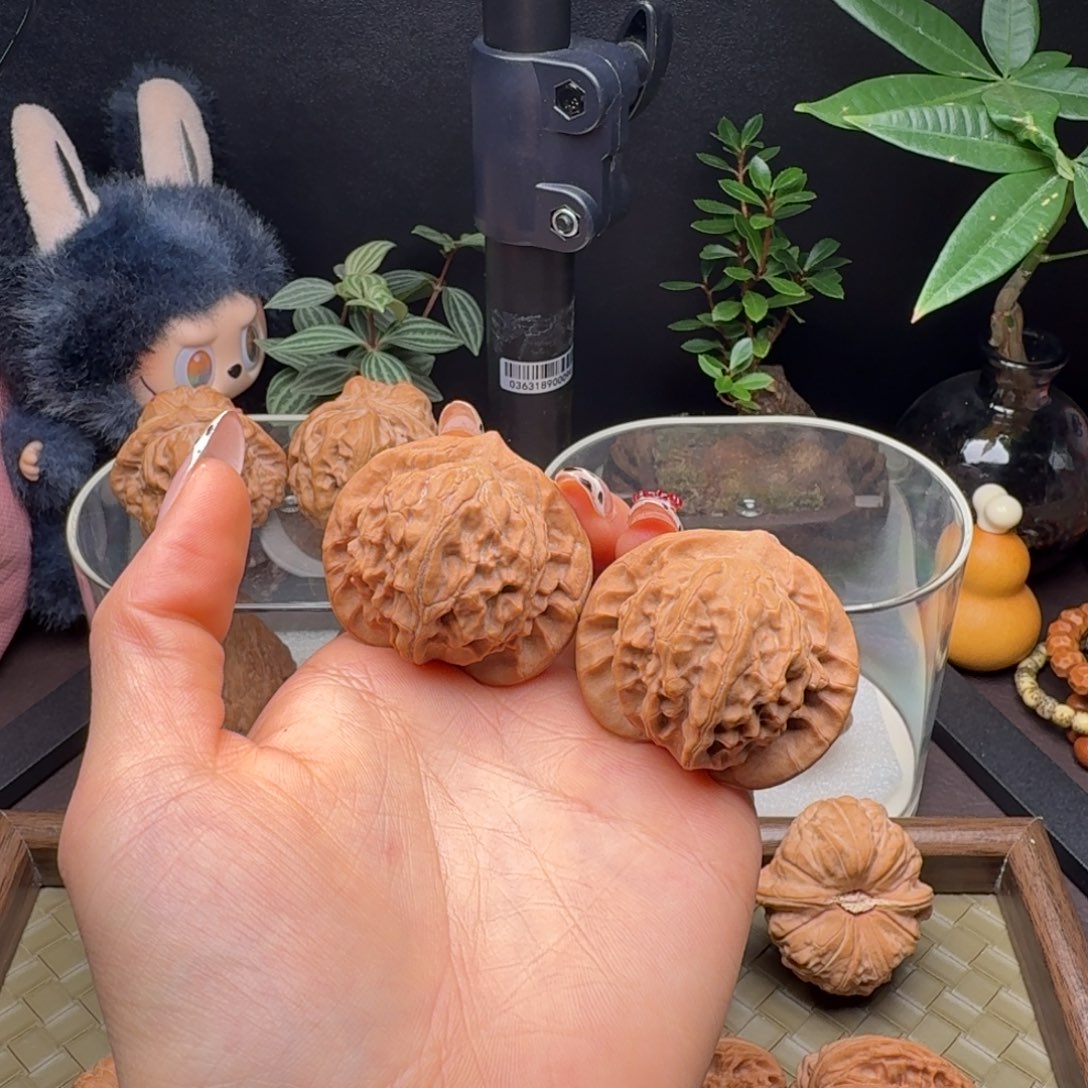 龙脊菩提把件全品图图42