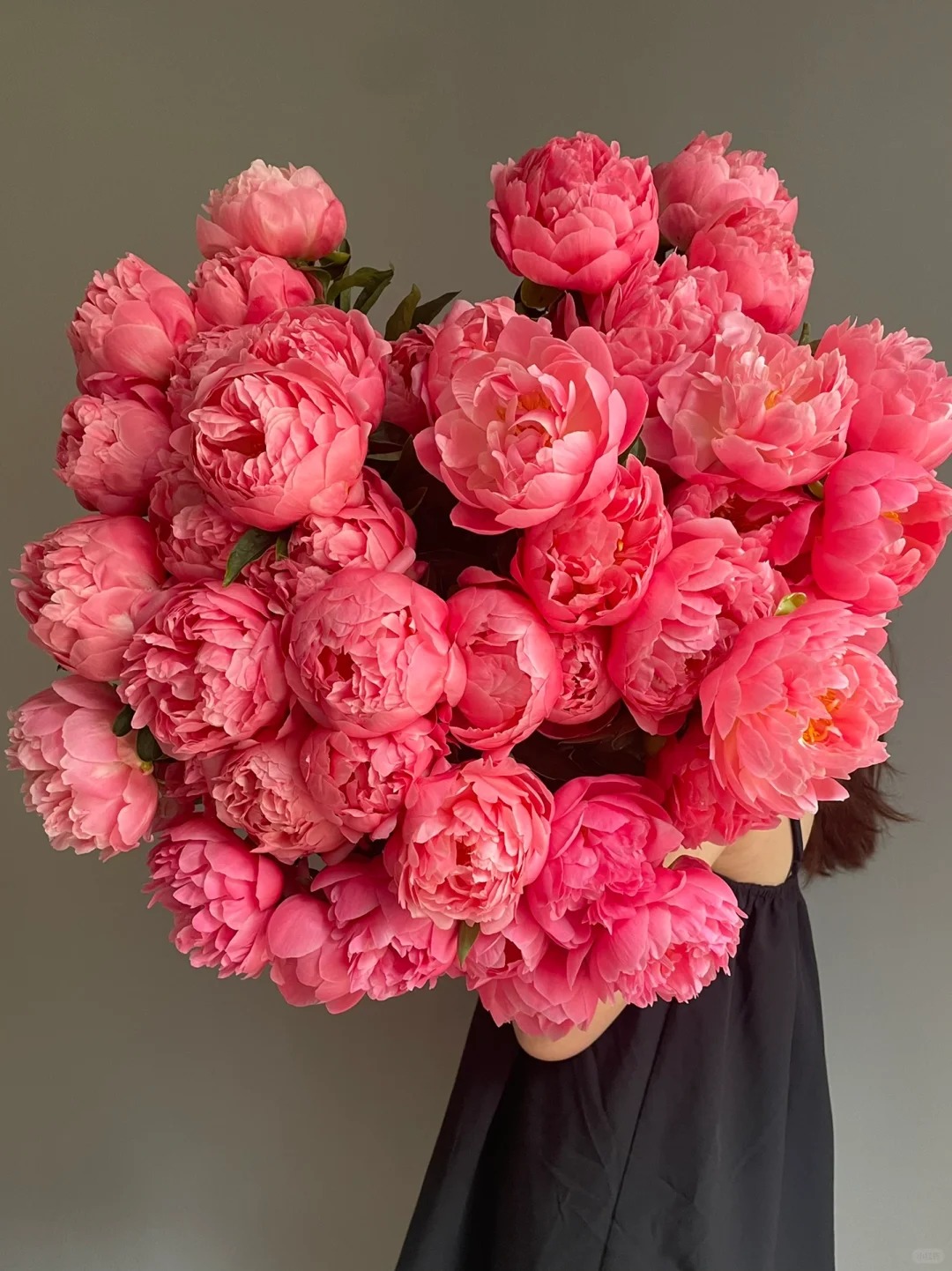 【大聪明卖花】落日珊瑚芍药  任意2单鲜花升级顺丰/京东/德邦