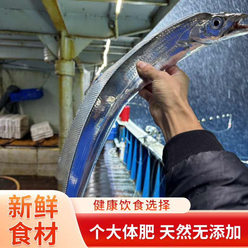 5斤18条（每条2-3两小带鱼）宁波舟山东海钓带鱼鲜小眼睛新鲜海鲜