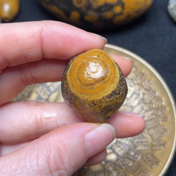 石材九眼页岩钱币石原石59