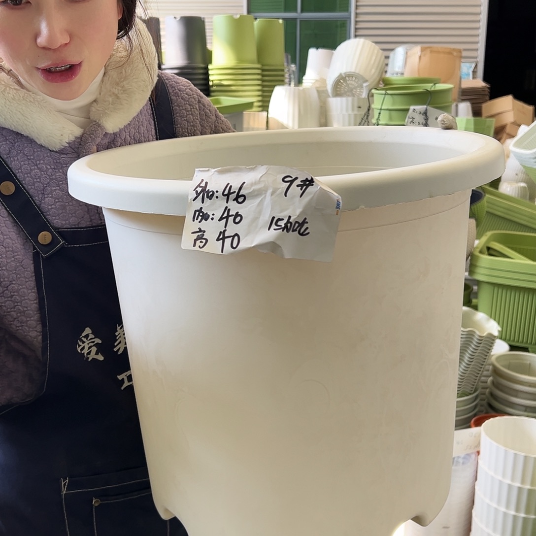 四季盆9#白色4个无托