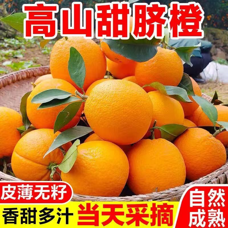 新鲜橙子正宗高山脐橙当季薄皮荷尔甜季冰糖多汁水果道州赣南同款商品图
