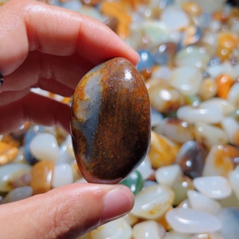 和田玉（糖玉）手链未镶嵌1: