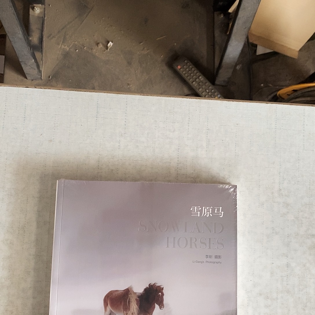血缘马，北京美术摄影出版社