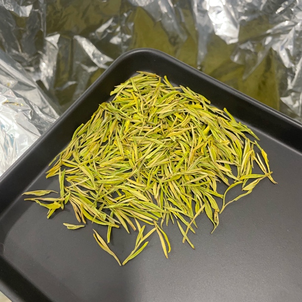 【骆大师-口粮直条】2025年安吉小熊猫奶香黄金芽 奶香白化鲜爽甘甜